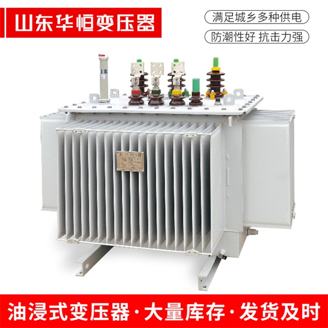 S13-10000/35丹寨丹寨丹寨电力变压器